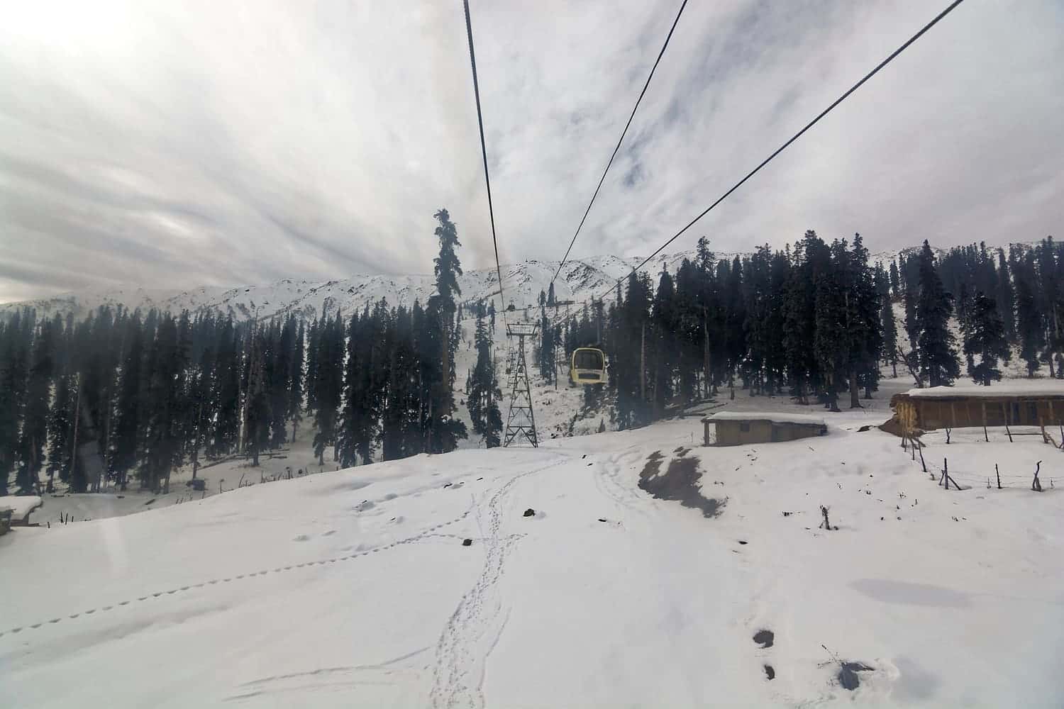 Gulmarg Gondola cable car rising over snow and pine forest