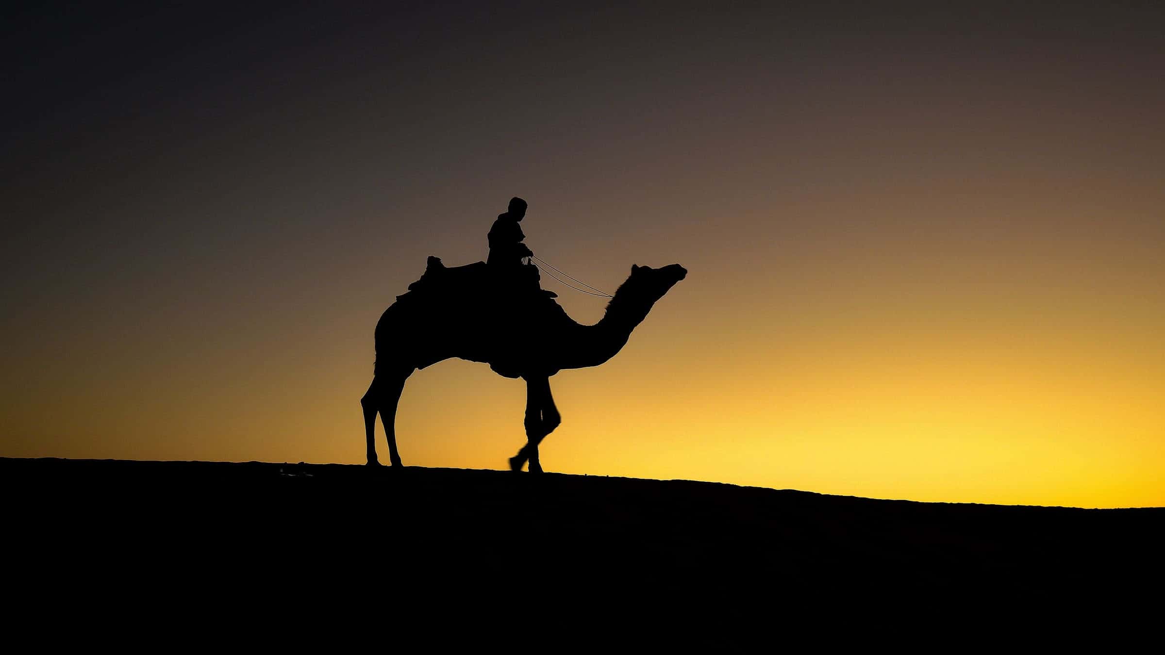 Camel rider silhouetted at sunset on the Sam sand dunes near Jaisalmer